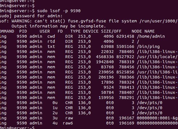 Файловые дескрипторы Linux
