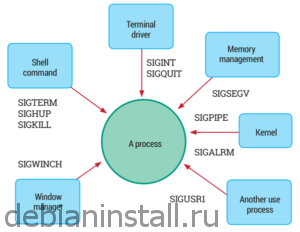 Как послать сигнал процессу linux